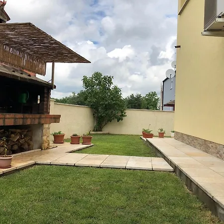 Flora